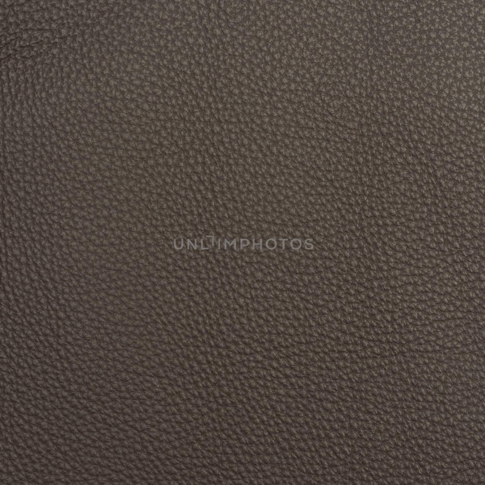 leather macro shot texture for background