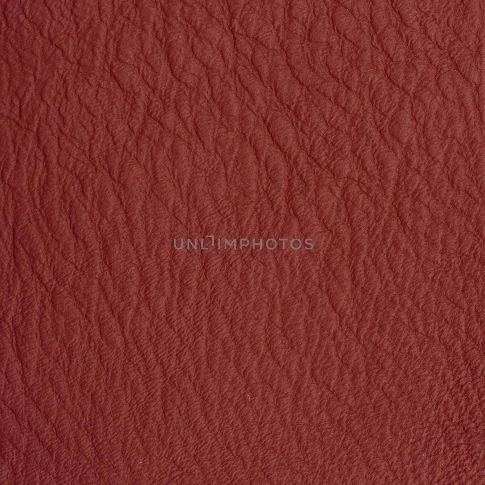 leather macro shot texture for background