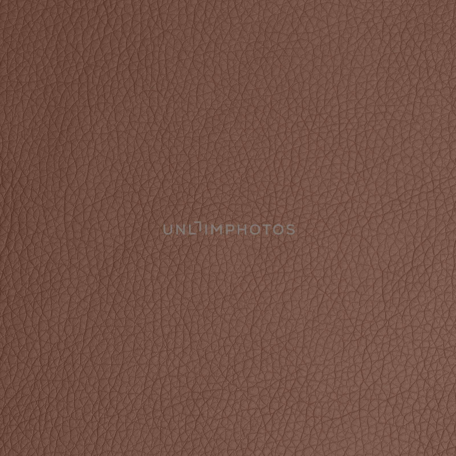 leather macro shot texture for background