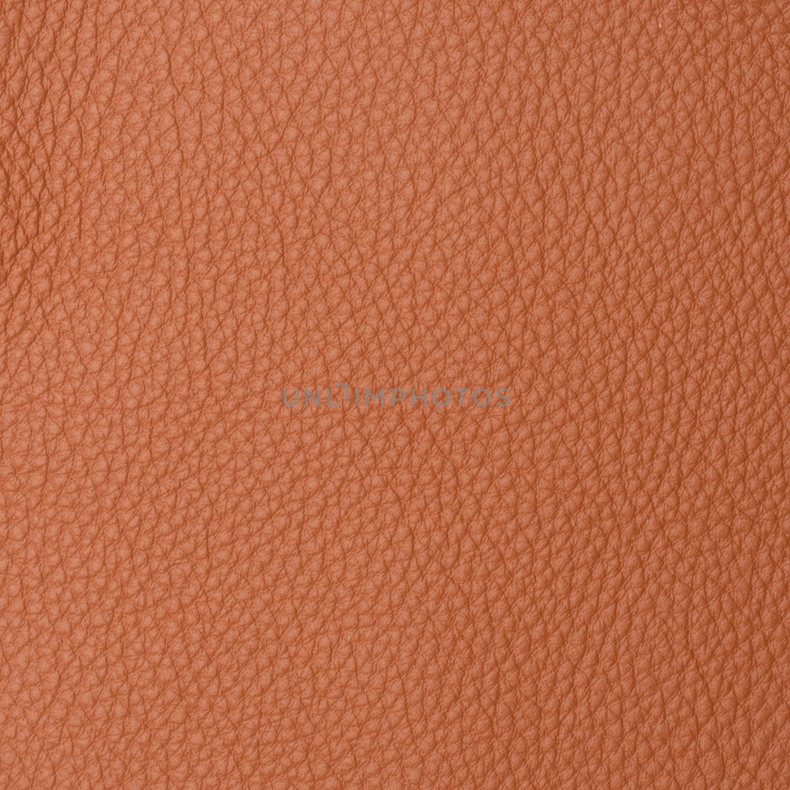 leather macro shot texture for background