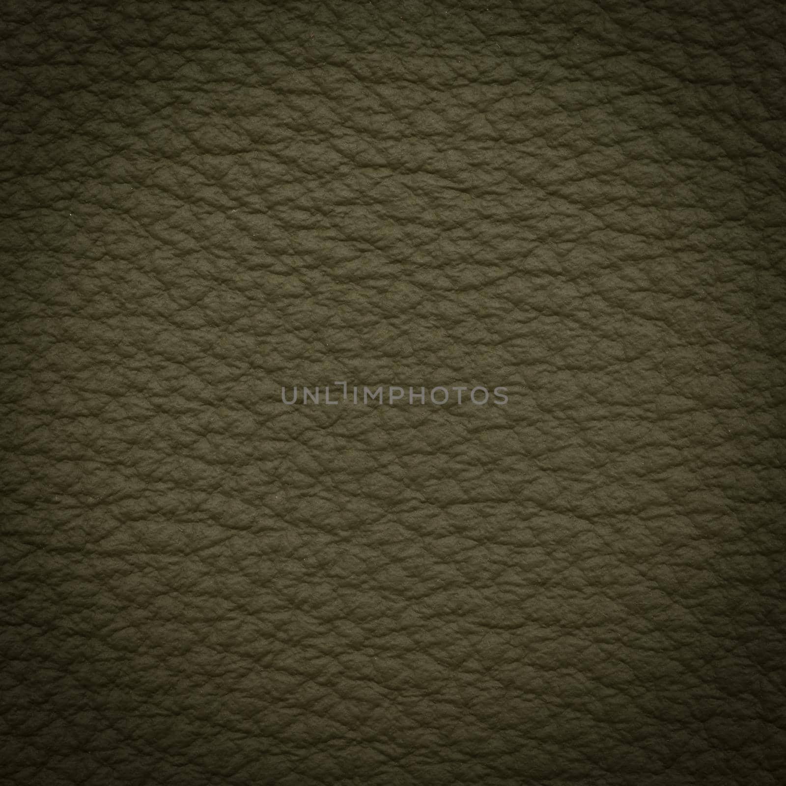 green leather macro shot texture for background