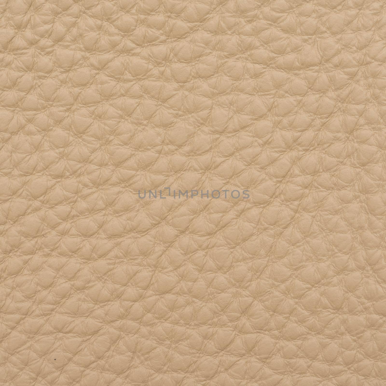 leather macro shot texture for background