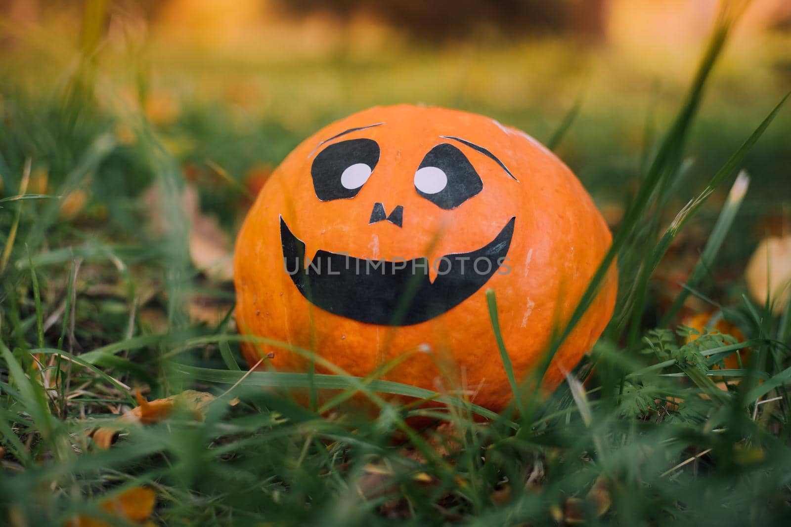 Jackie's Halloween pumpkin is lying on the grass . An article about Halloween. An orange pumpkin with a face. Details of the holiday. Halloween
