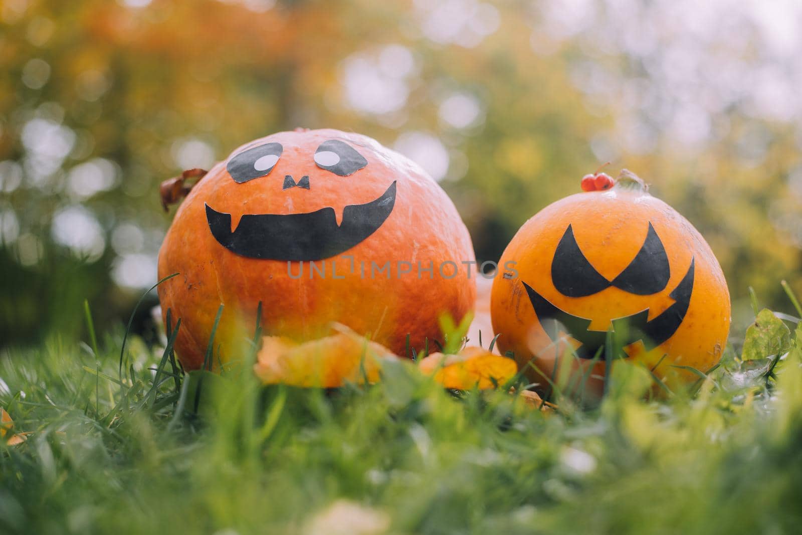 Jackie's Halloween pumpkin is lying on the grass . An article about Halloween. An orange pumpkin with a face. Details of the holiday. Halloween