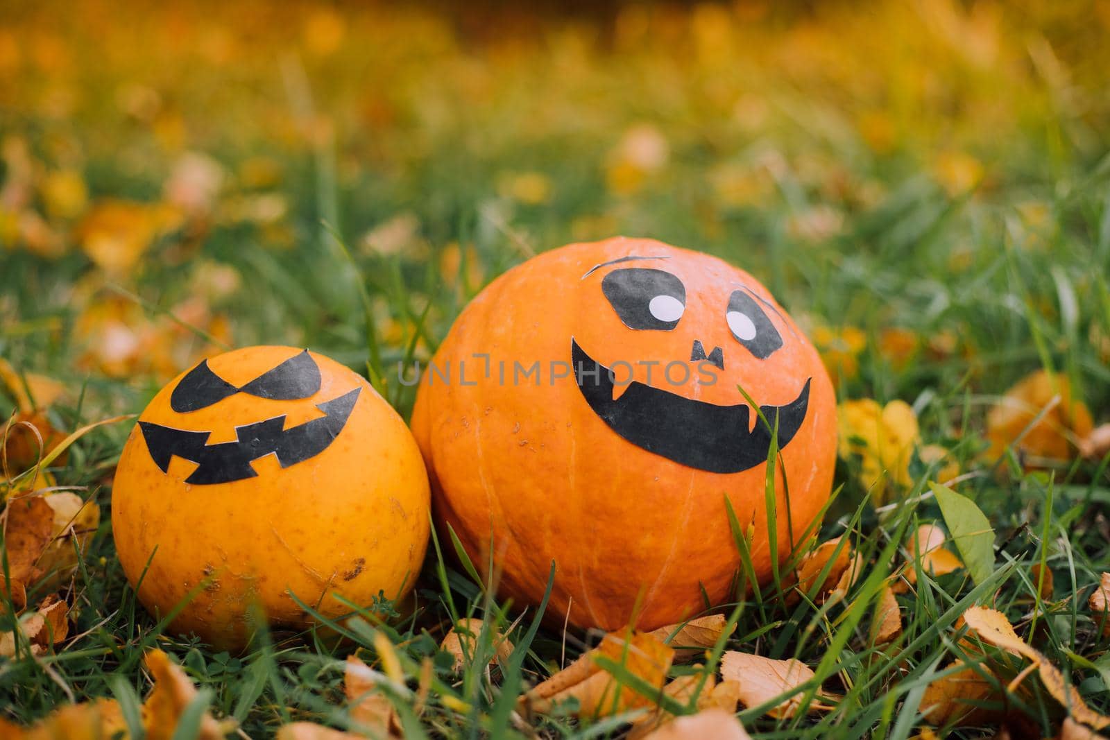 Jackie's Halloween pumpkin is lying on the grass . An article about Halloween. An orange pumpkin with a face. Details of the holiday. Halloween