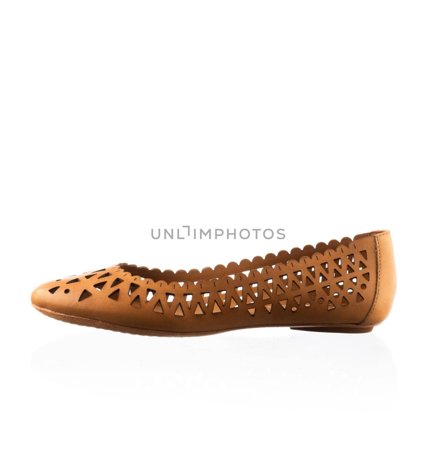 Modern fashionable women shoe shot in studio