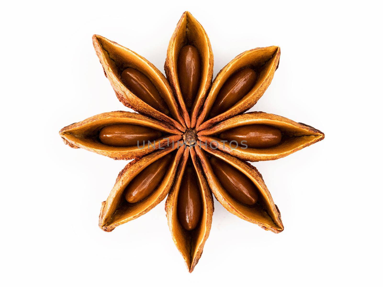 Single Chinese star anise  isolated on white background. by kerdkanno