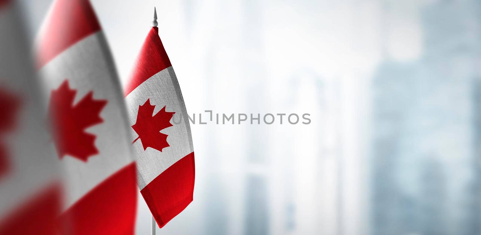 Small flags of Canada on a blurry background of the city.