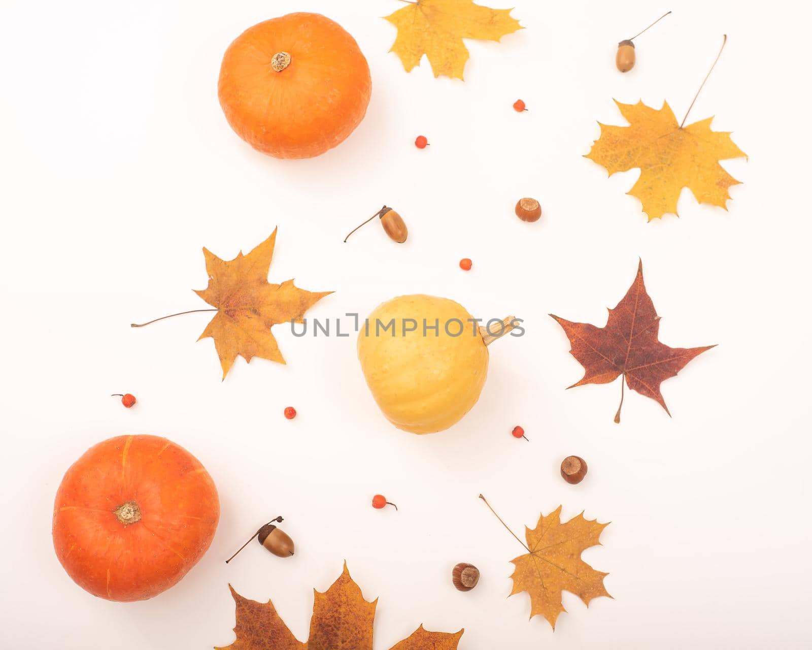 Autumn flat lay. Maple leaves, pumpkins and acorns on a white background.