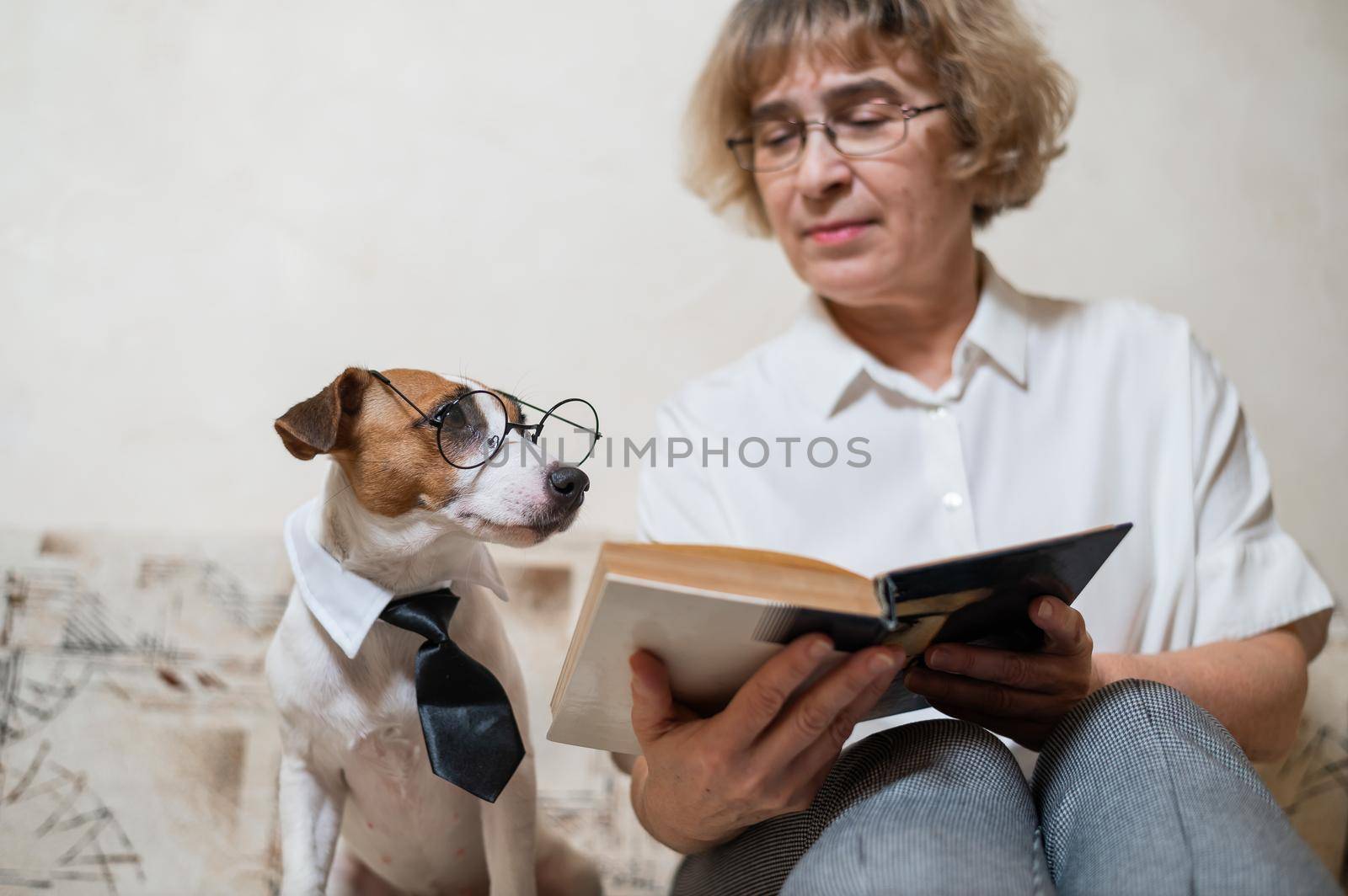 Elderly caucasian woman reading a book with a smart dog jack russell terrier wearing glasses and a tie on the sofa by mrwed54