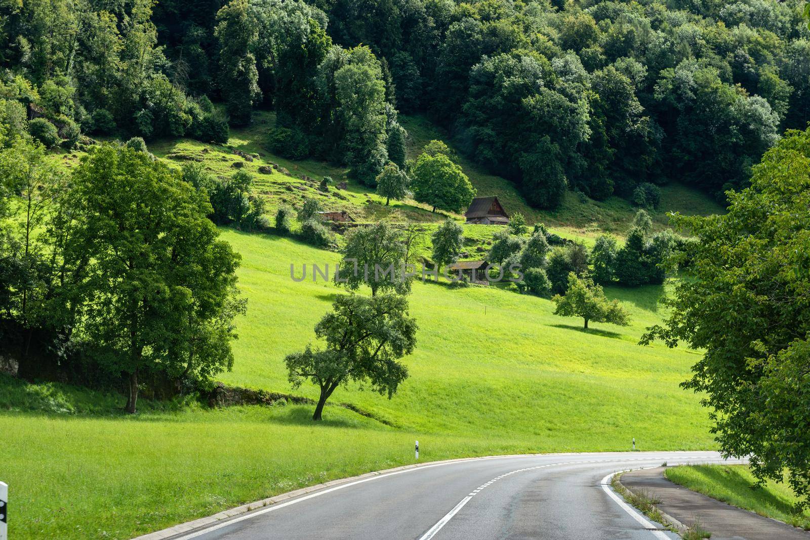 Beautiful green hill landscape in Switzerland Alps by anytka