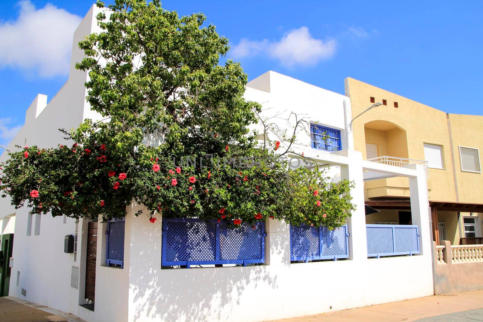 Whitewashed houses with bougainvillea in Rodalquilar, Andalusia, Spain