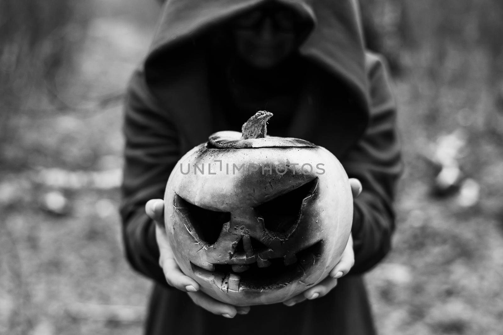A witch holds a creepy pumpkin in a dense autumn forest. Jack o lantern for halloween. Monochrome by mrwed54