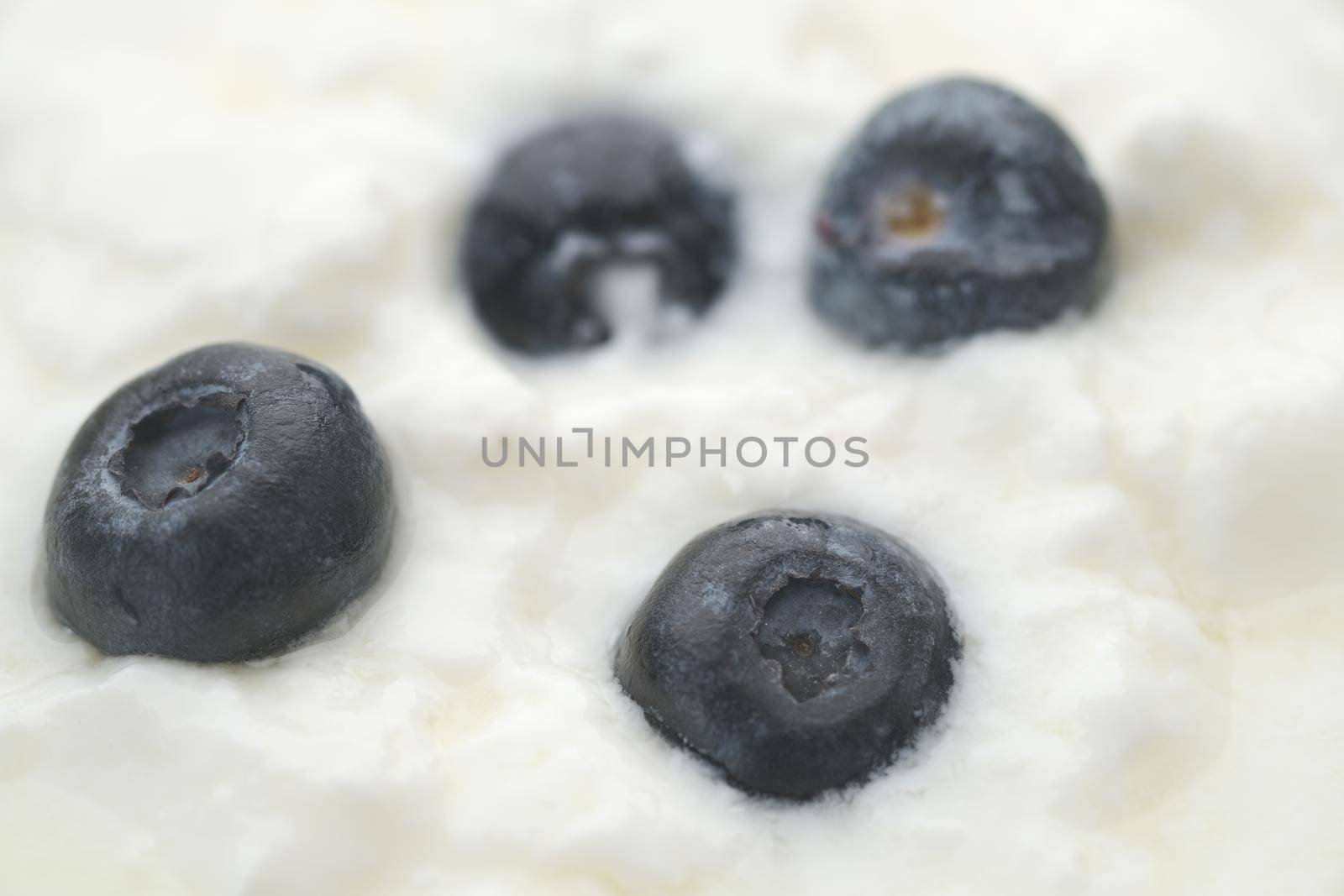 close up of fresh yogurt with blue berry in a bowl .