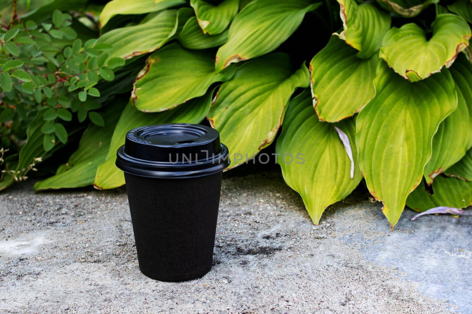 Black paper cup with coffee on a background of green leaves