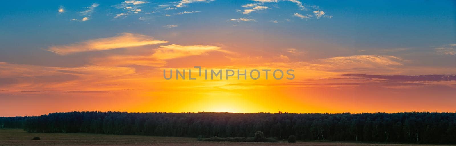 Panorama of sunset scene over forest and field. Blue and orange cloudy sky in background