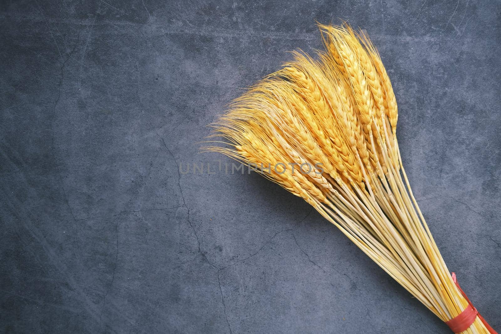 detail shot of wheat spikelets on table.