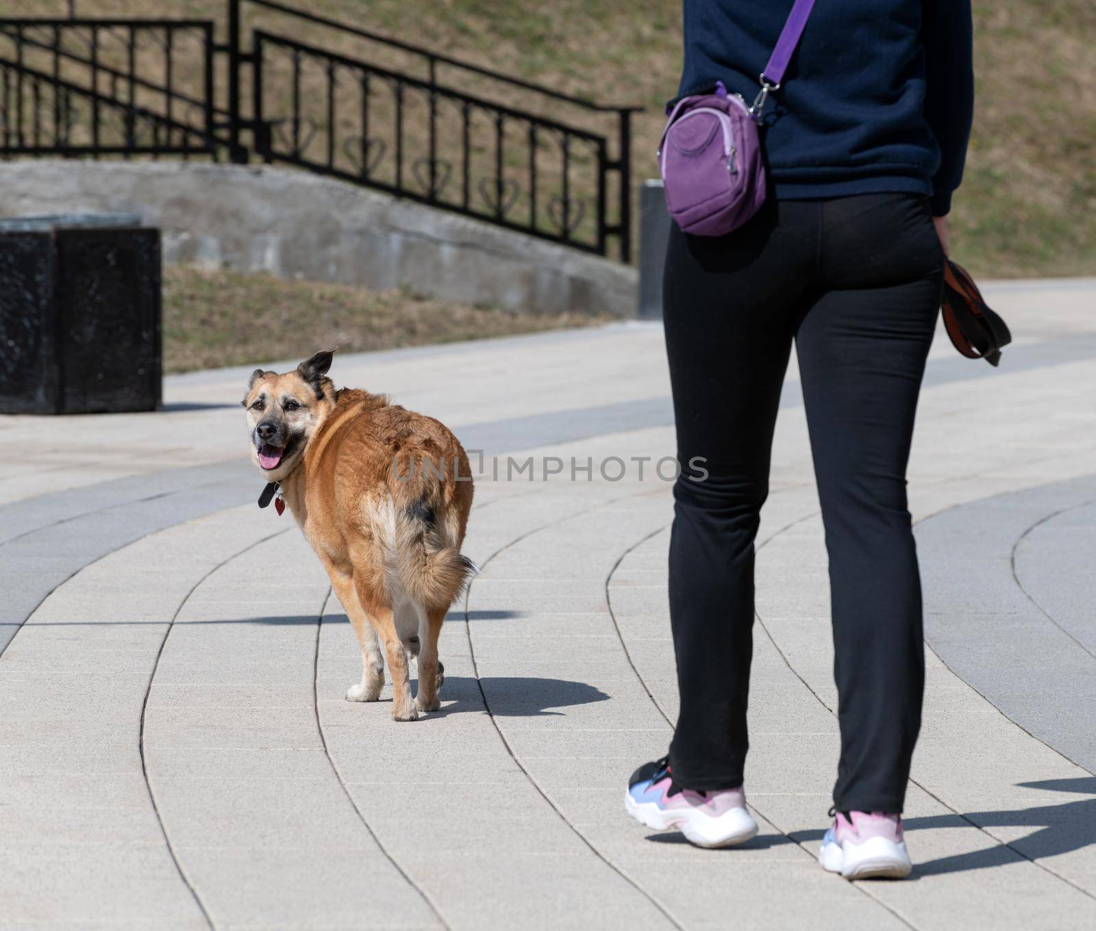 The Woman walking with a big red dog by olgavolodina