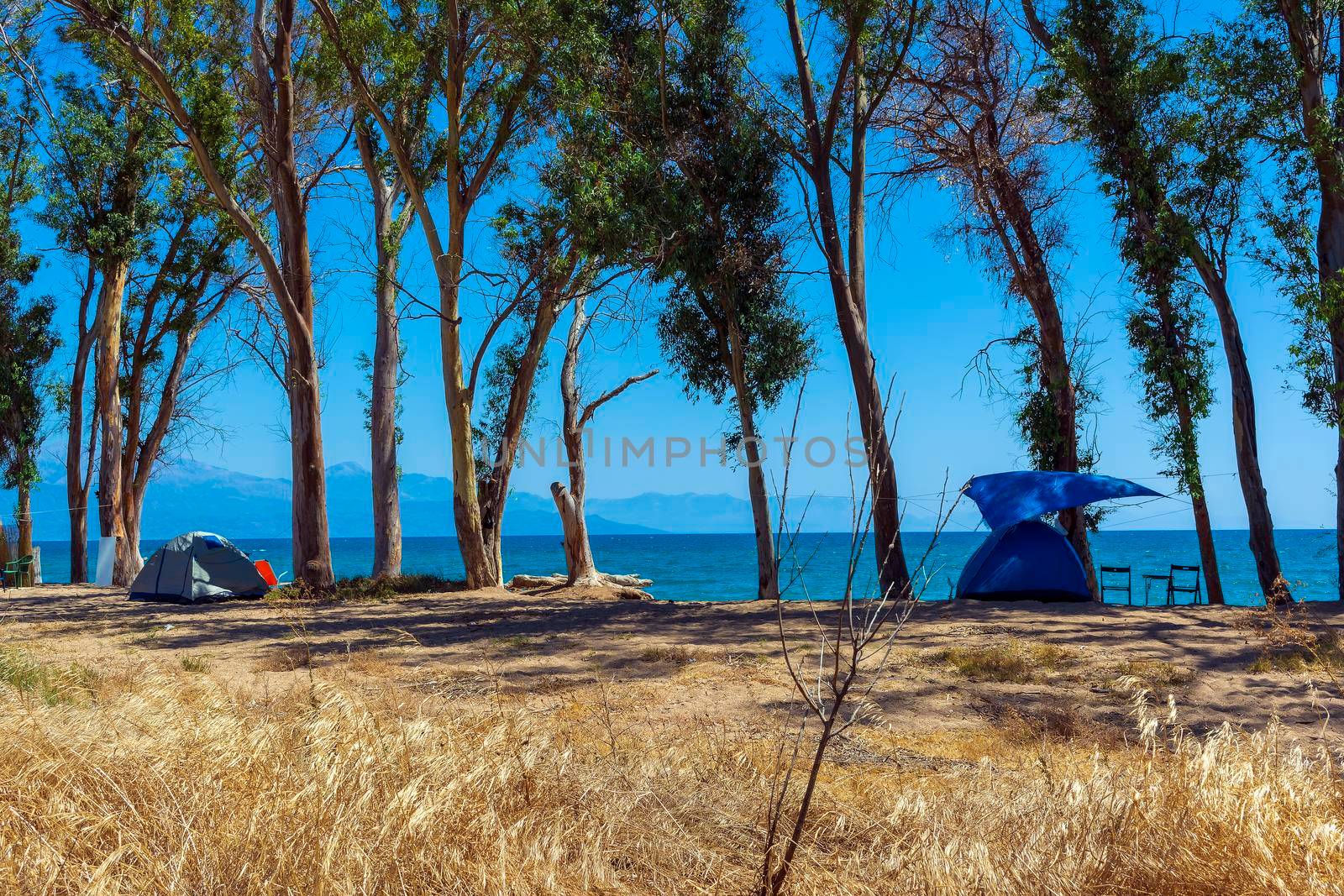 Tourist tent on sandy beach near the blue sea at Velika beach, Messinia. Greece. Camping on sandy beach.