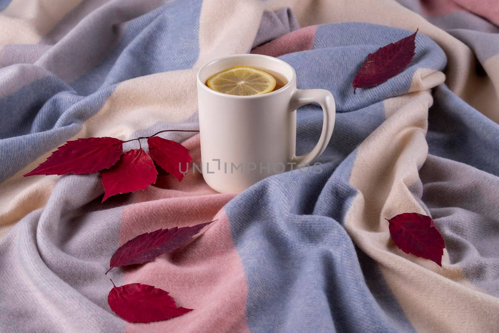 Autumn composition of a soft warm scarf in pastel colors, dry autumn leaves and a ceramic mug with hot tea with lemon. Selective focus.