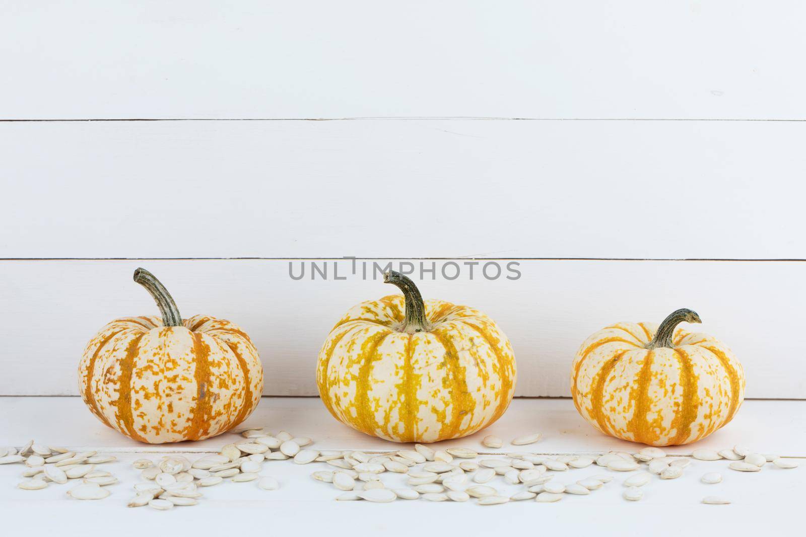 Three orange striped decorative pumpkins and seeds on white wooden background, Halloween concept