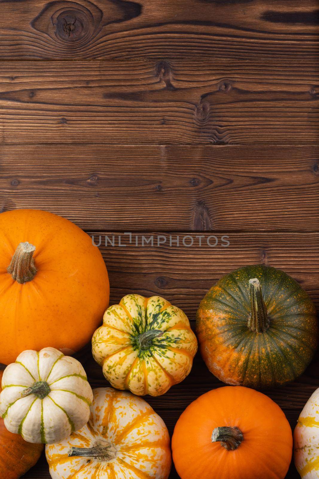 Many pumpkin top border over a rustic wood background