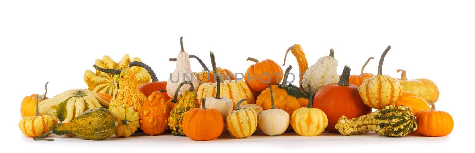 Harvested pumpkins isolated on white background by Yellowj