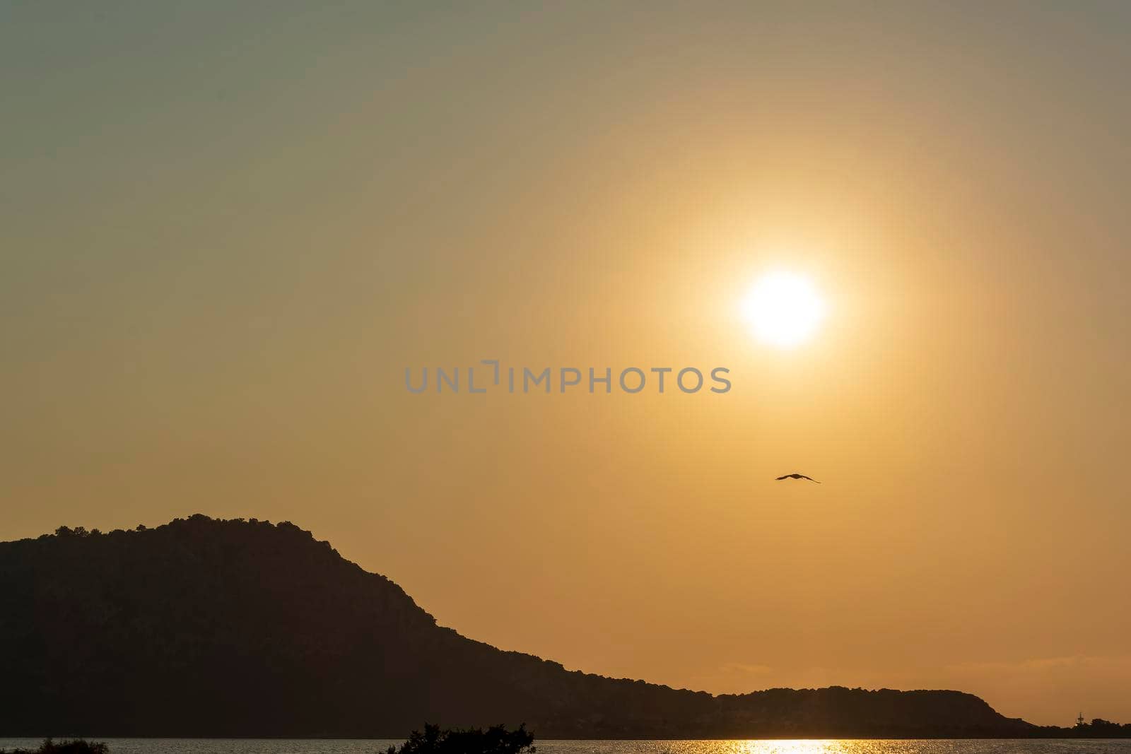 Gialova lagoon sunset. The Gialova lagoon is one of the most important wetlands in Europe, as it constitutes the southernmost migratory station of migratory birds in the Balkans to and from Africa.