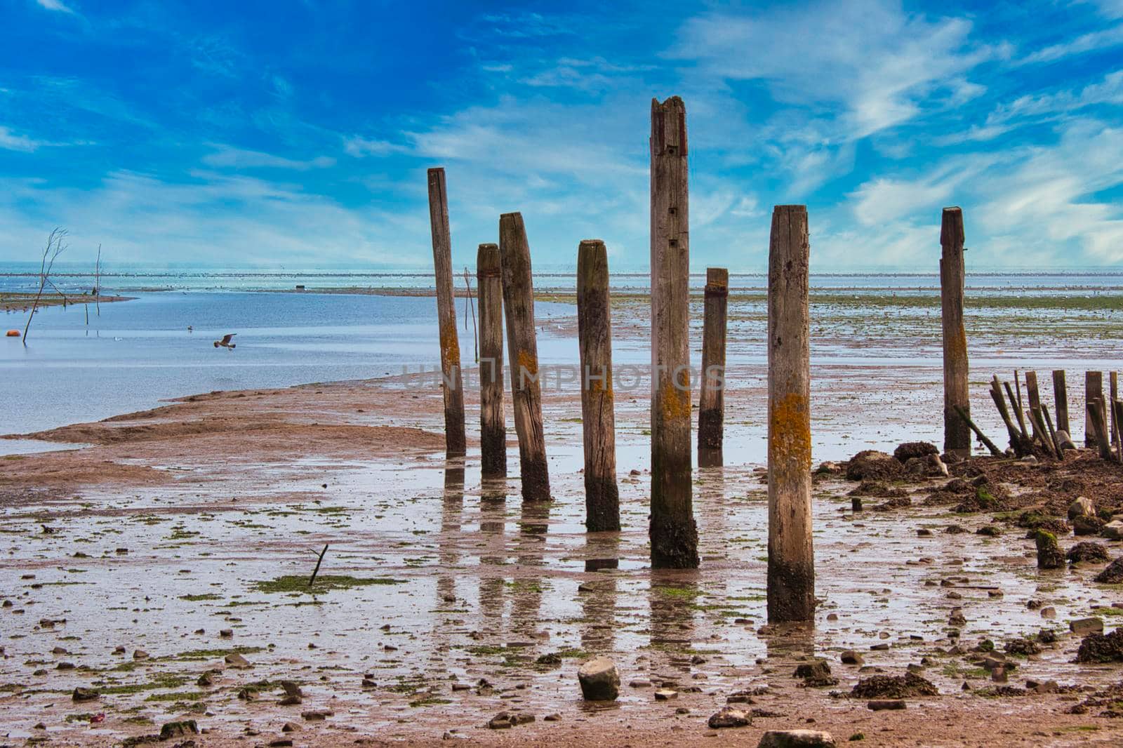 Texel Island - sea with blue sky and white clouds by Bullysoft