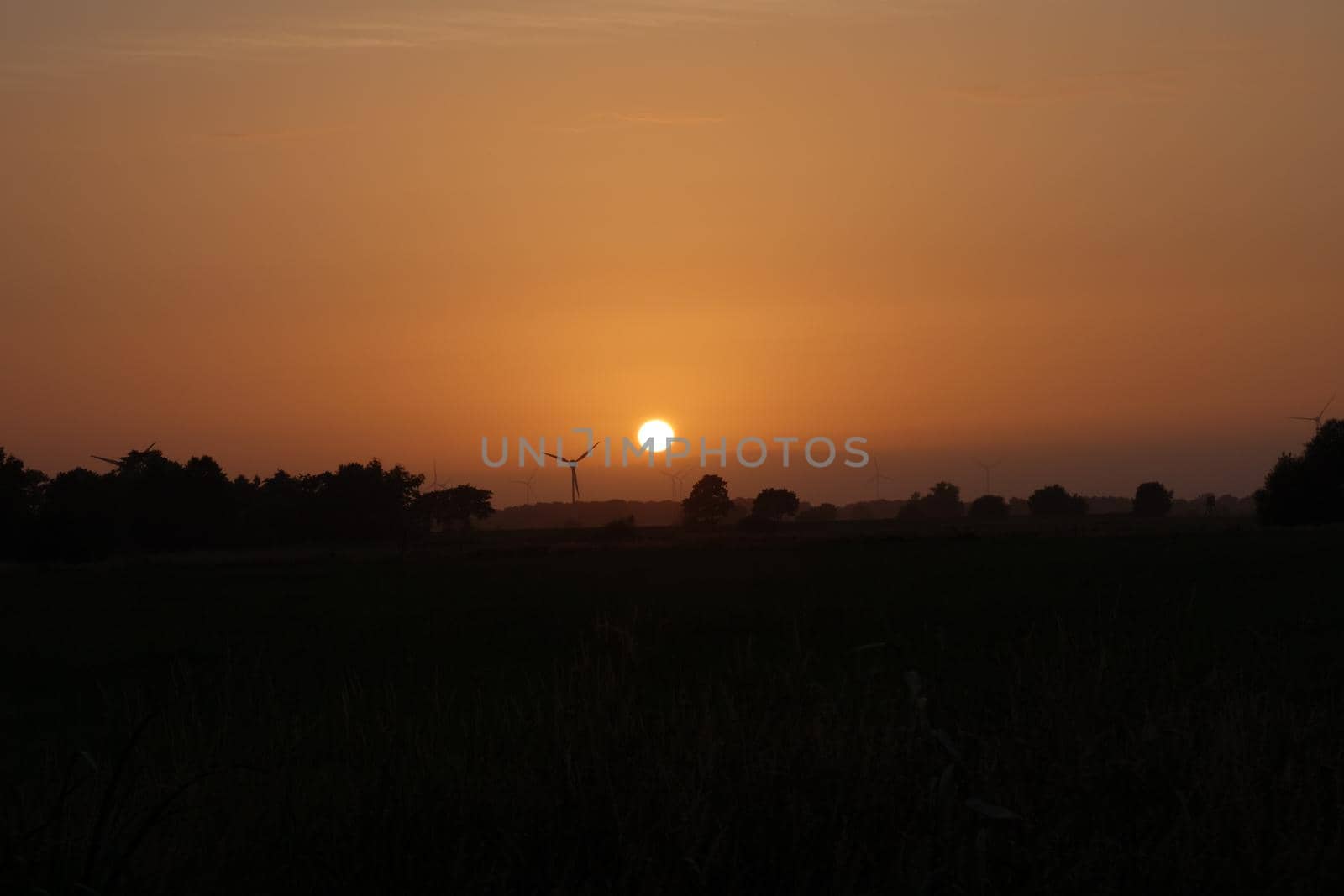 Beautyful sunset with reed and a contryside landscape in the foreground