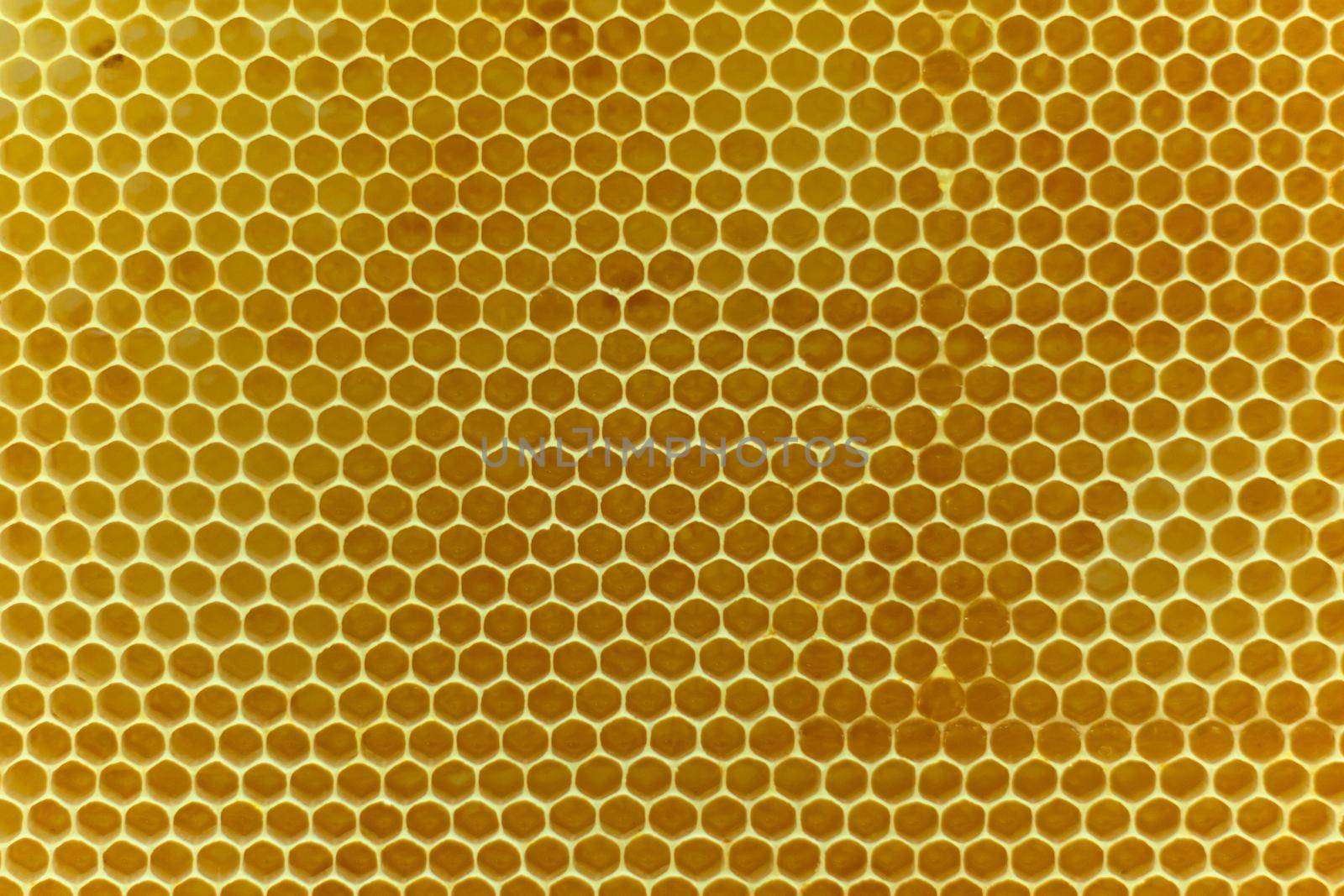 Real golden beewax honeycombs nature abstract pattern texture background