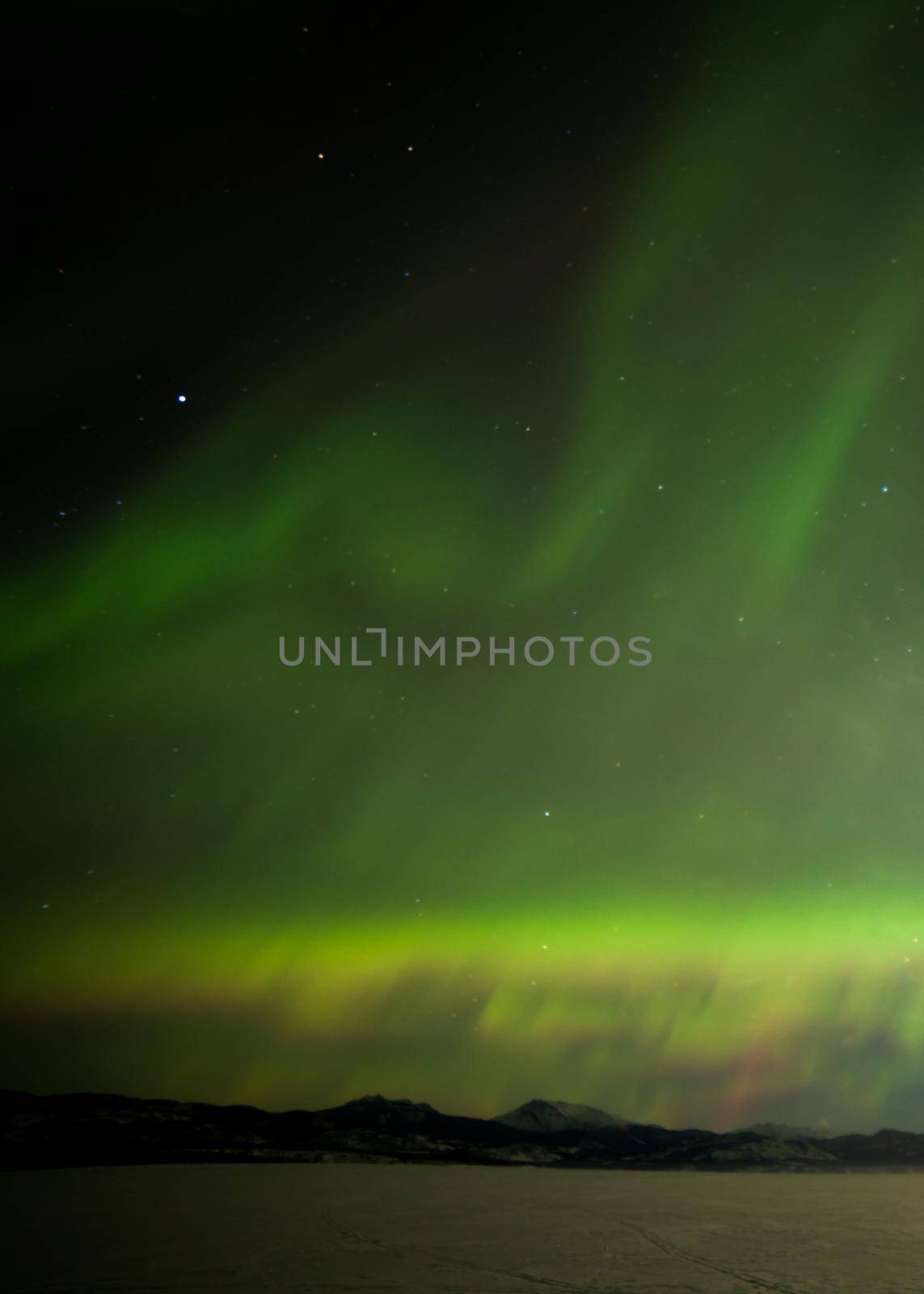 Northern Lights over frozen Lake Laberge YT Canada by PiLens