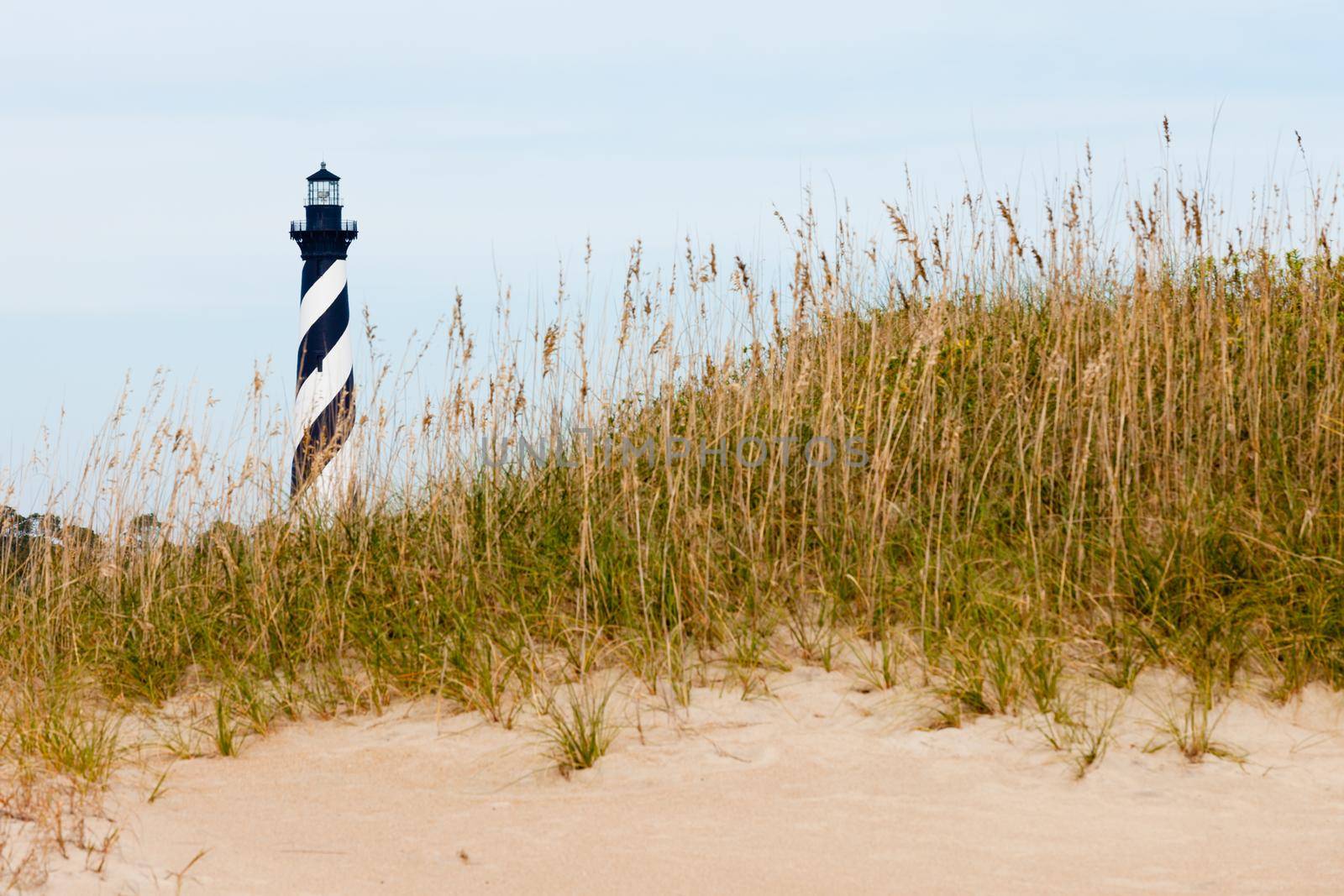Cape Hatteras Lighthouse towers over beach dunes of Outer Banks island near Buxton, North Carolina, US
