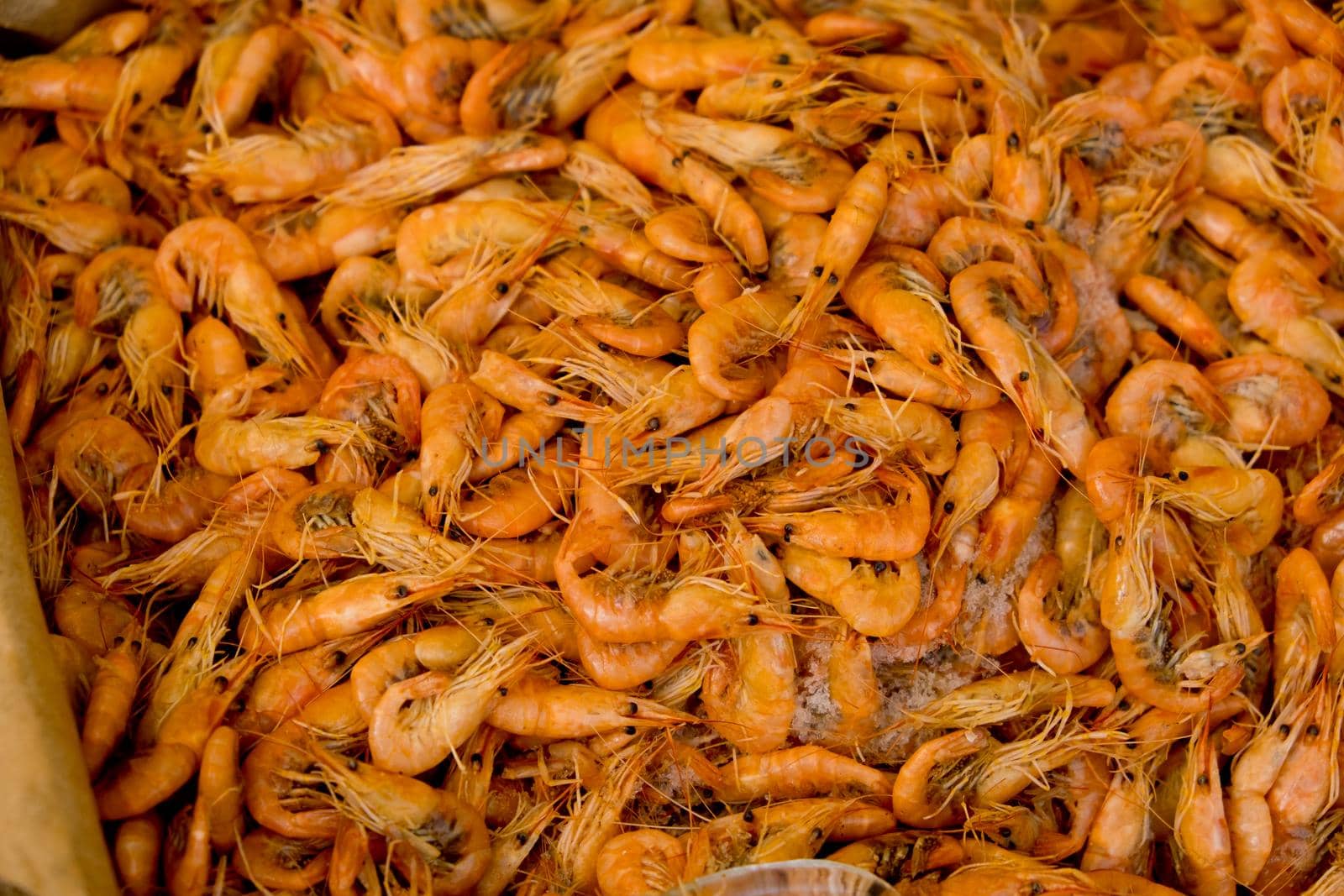 Small fresh boiled pink shrimp ready to eat. Street food festival. Selective focus. Close-up. Food background. by leonik