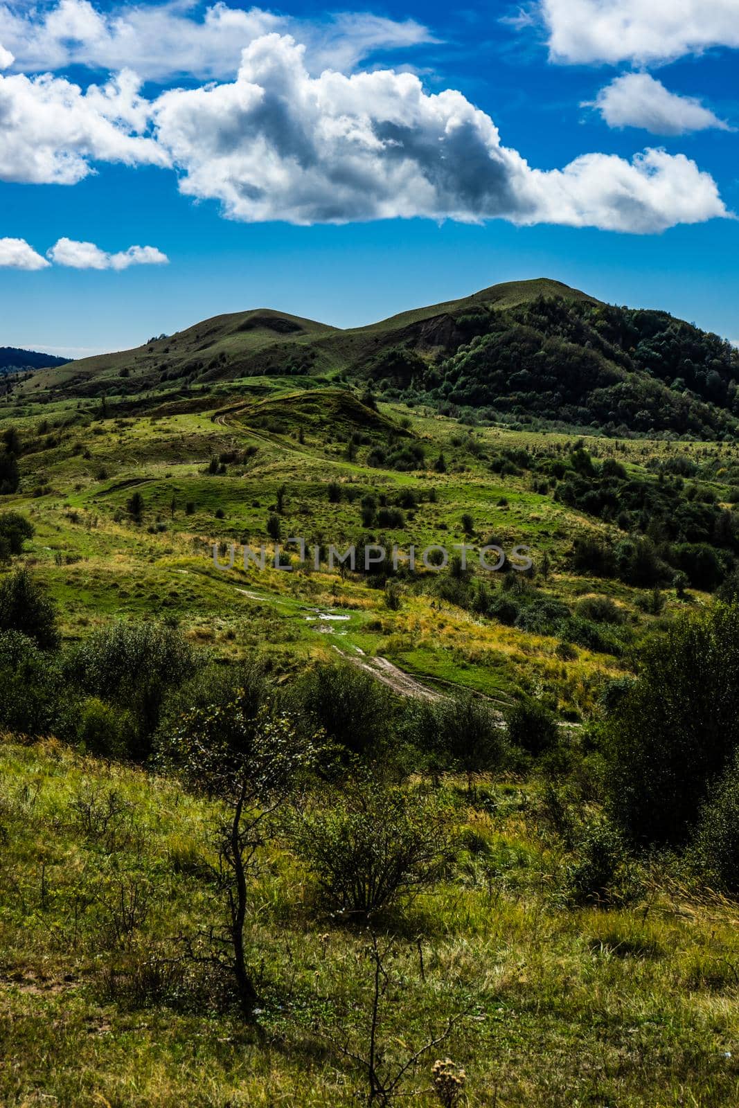 Landscape on Gombori Pass, the gate to Kakheti egion of Georgia