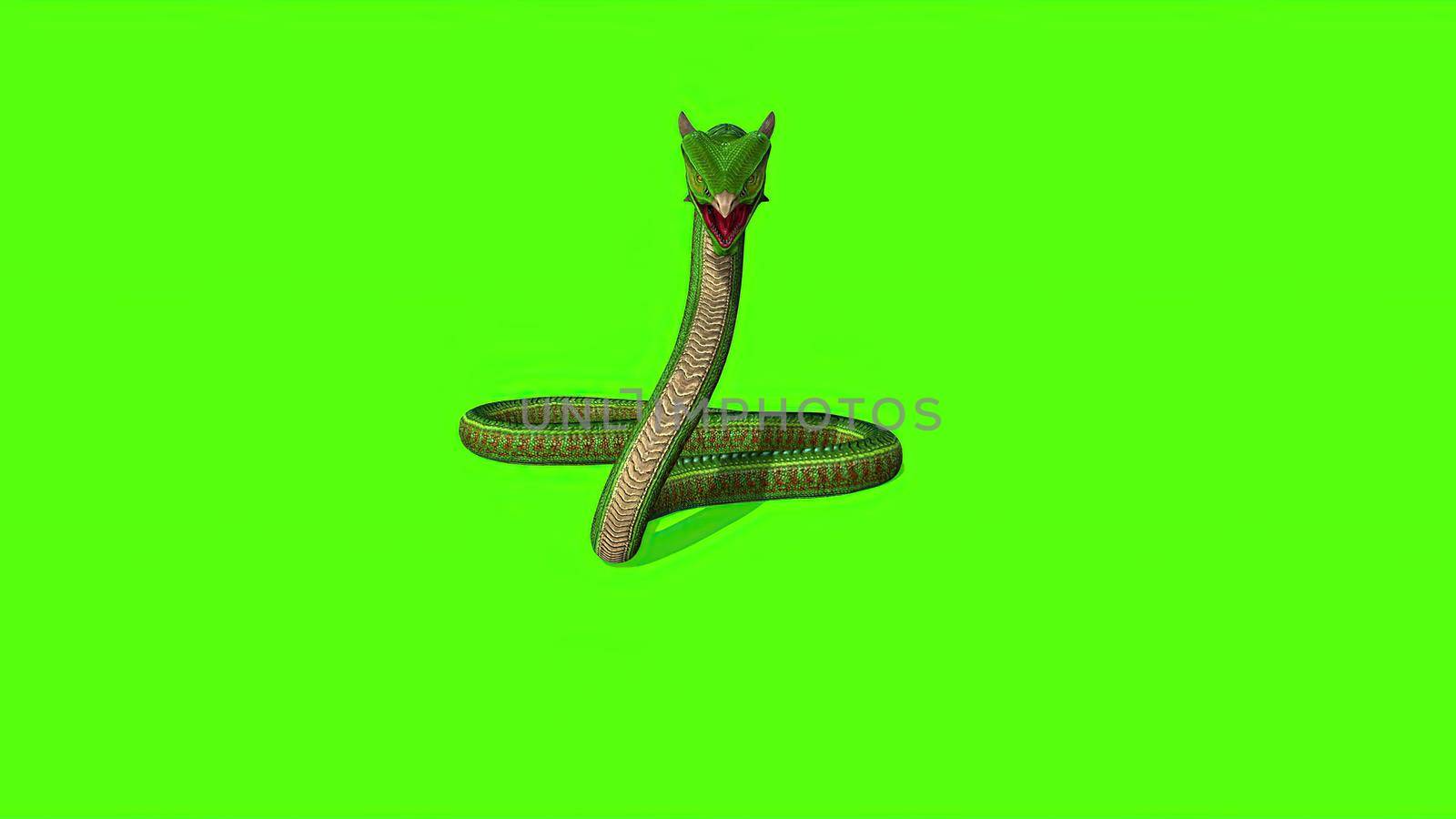 3d illustration - Snake  Python on Green Screen background by vitanovski