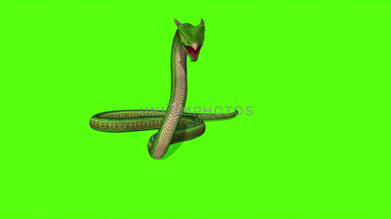 3d illustration - Snake  Python on Green Screen background