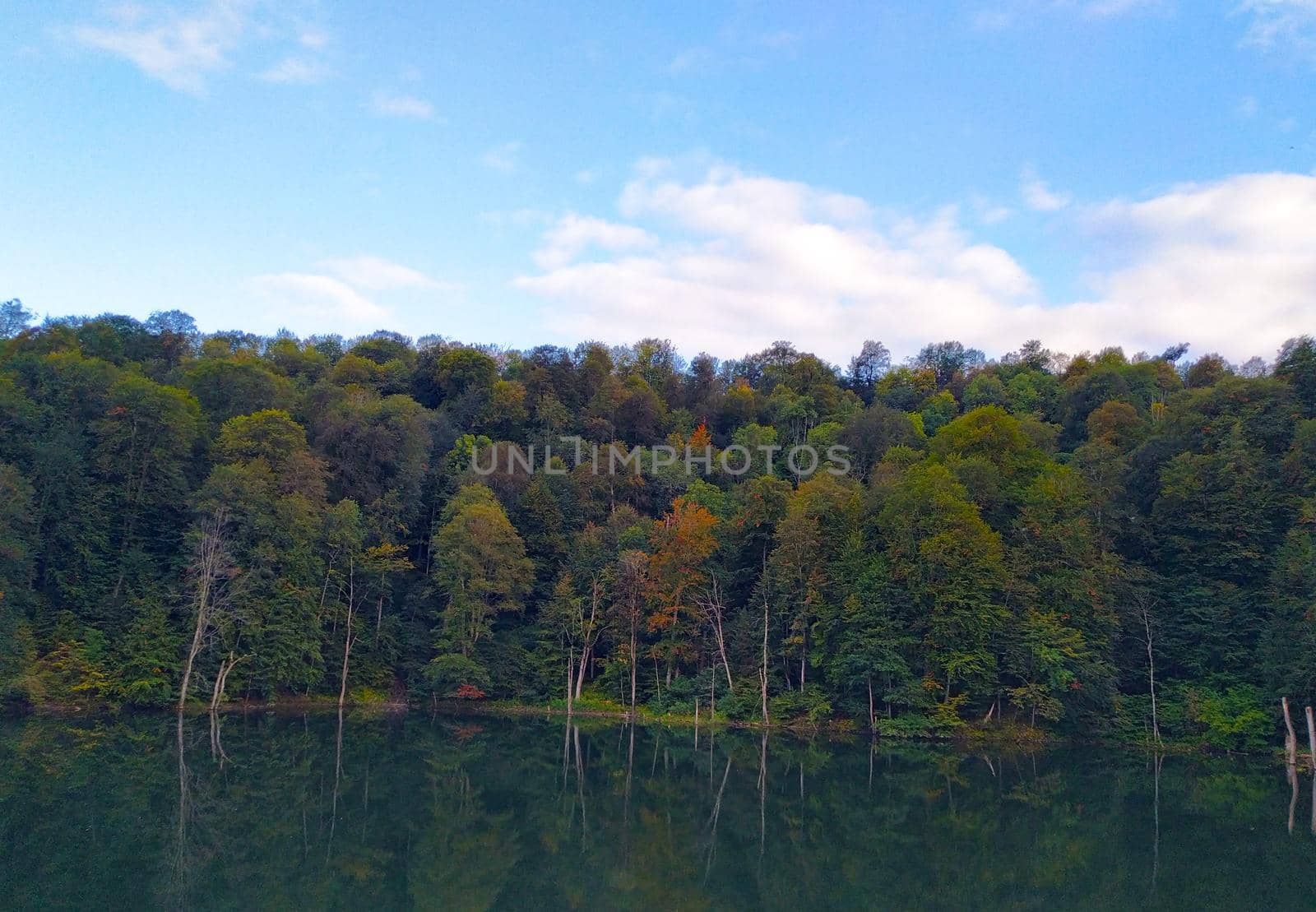 Blue lake in early autumn on a clear day
