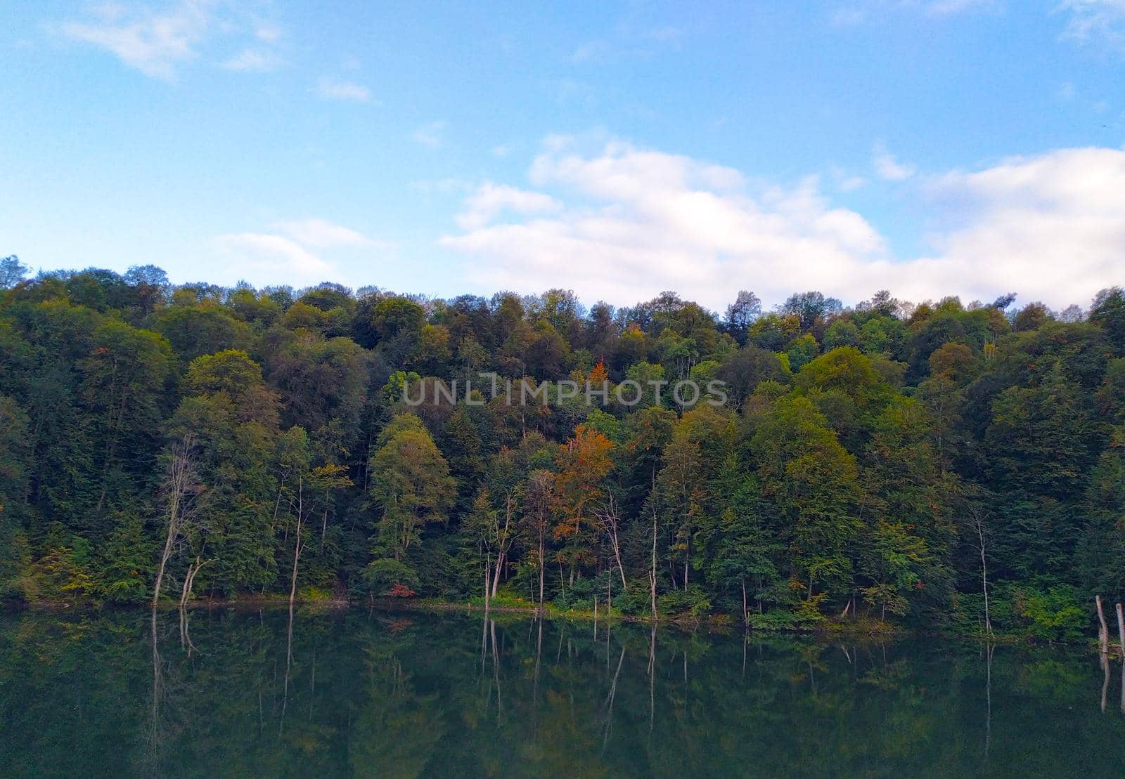 Blue lake in early autumn on a clear day