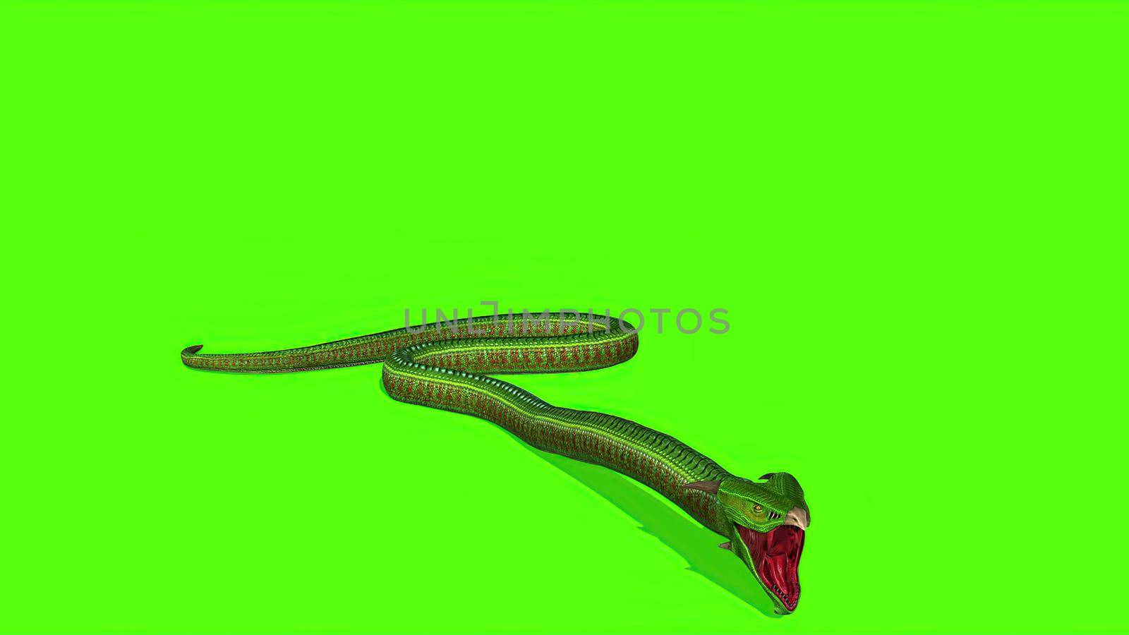 3d illustration - Snake  Python on Green Screen background