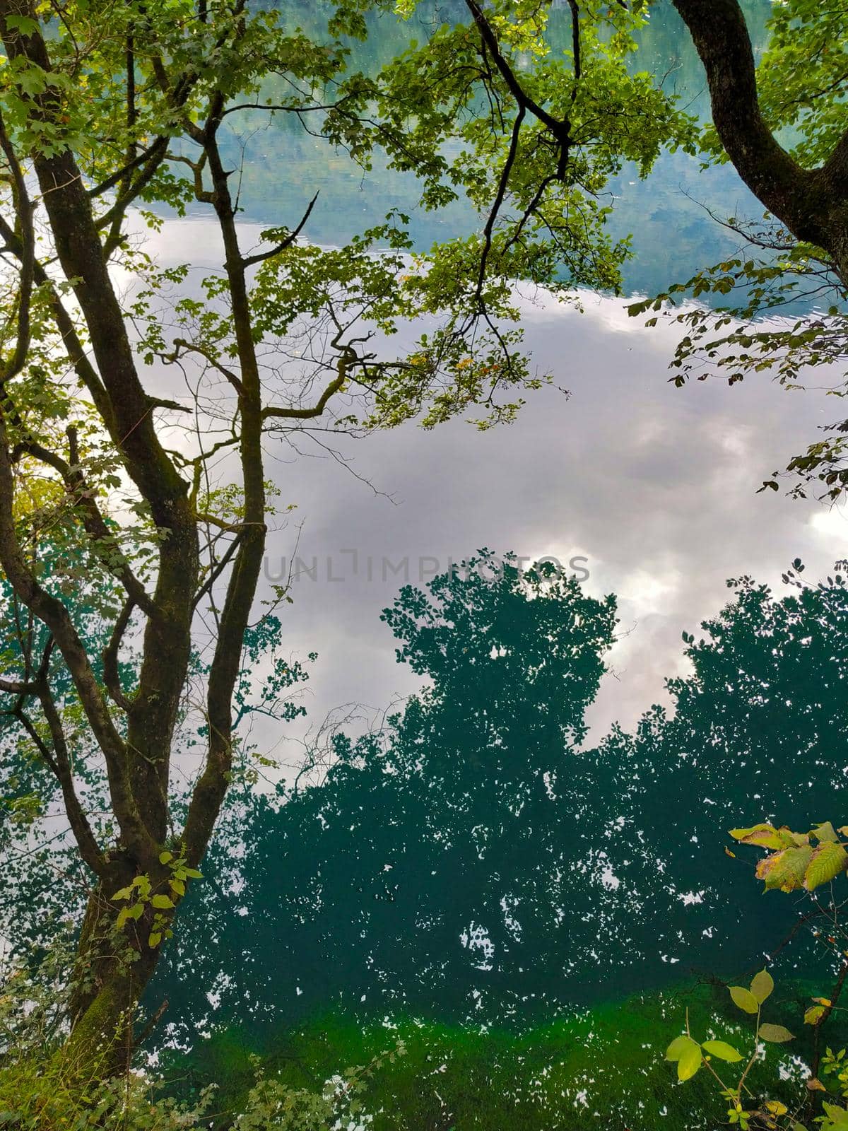 Reflection of clouds and trees in mountain lake on cloudy day by gladder