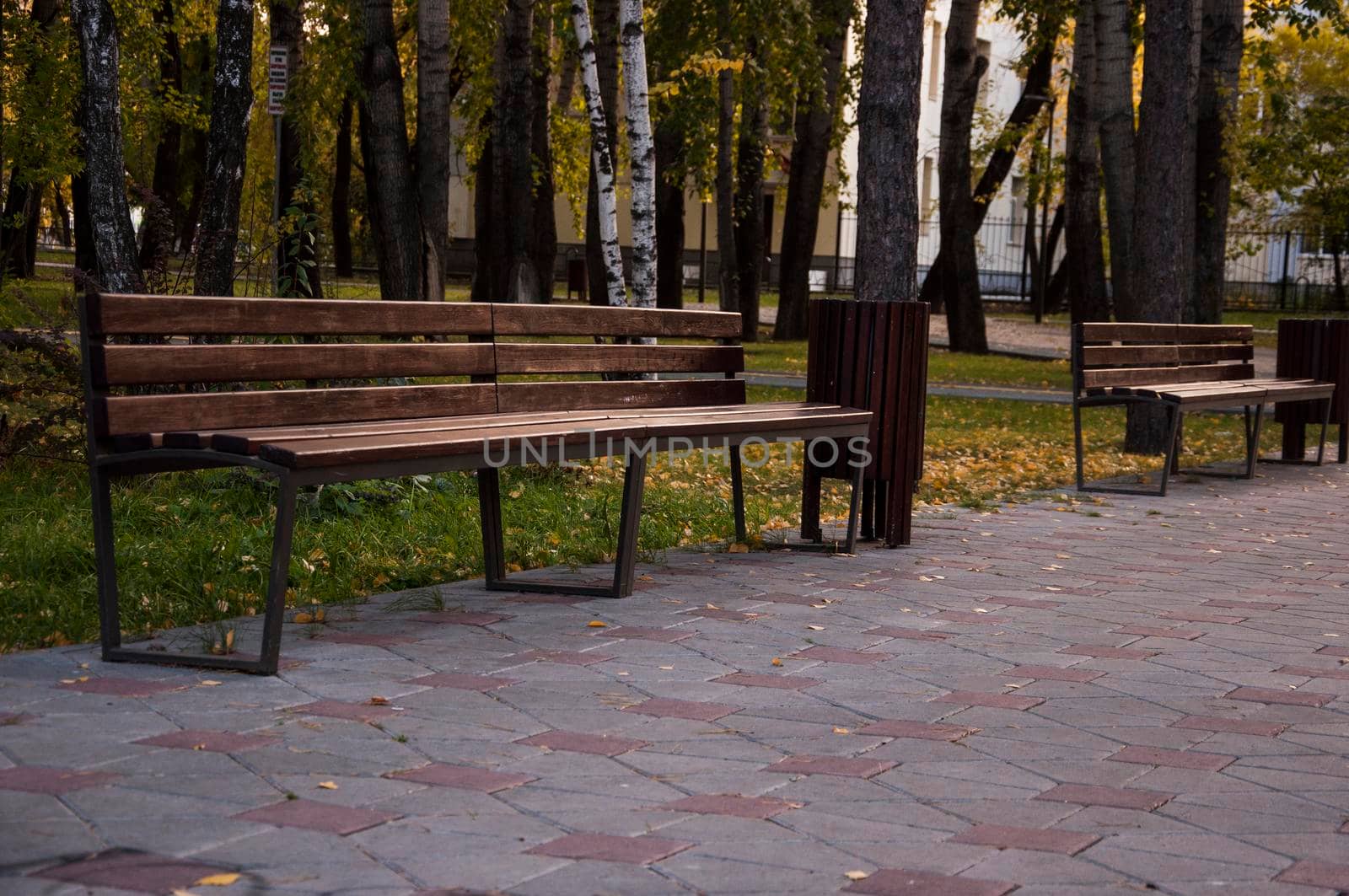 Wooden bench in the park among the trees by inxti