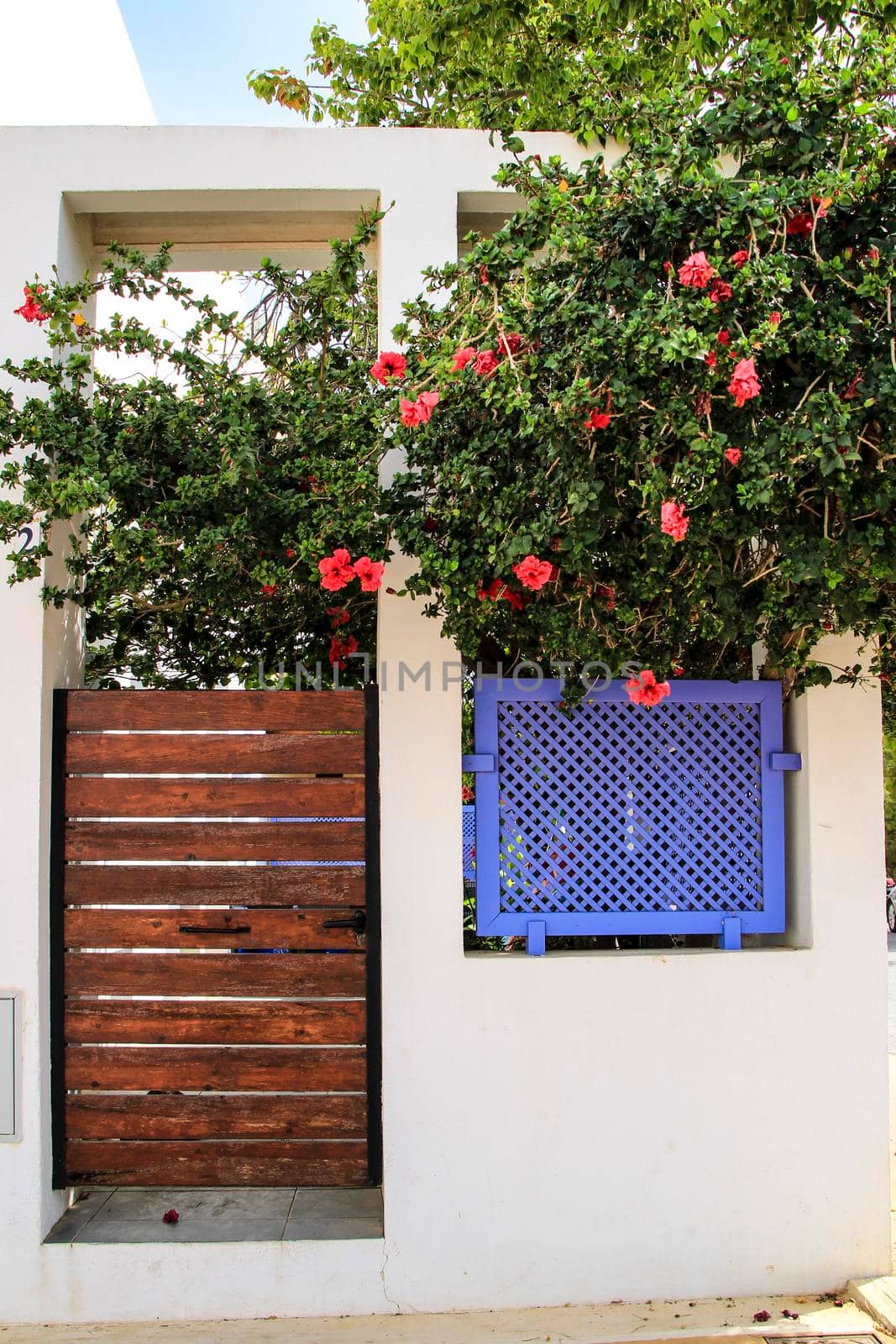 Whitewashed houses and beautiful flowers on the wall in Rodalquilar, Andalusia, Spain