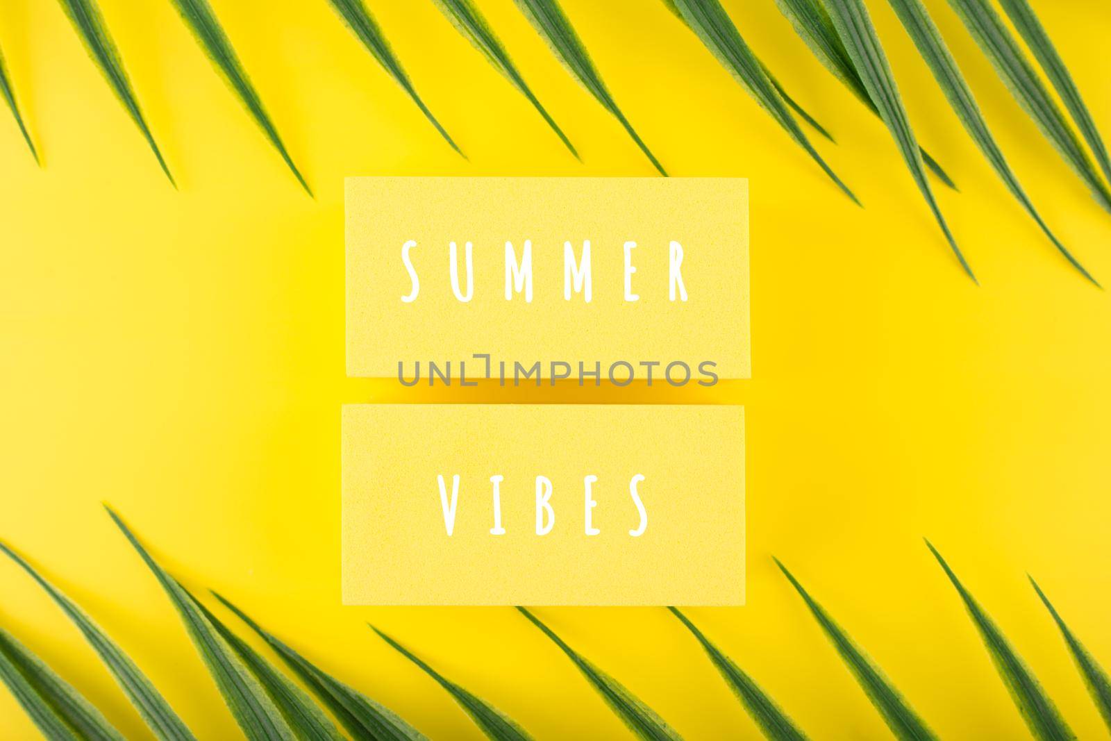 Holiday backdrop with summer vibes inscription on yellow background with palm leaves by Senorina_Irina