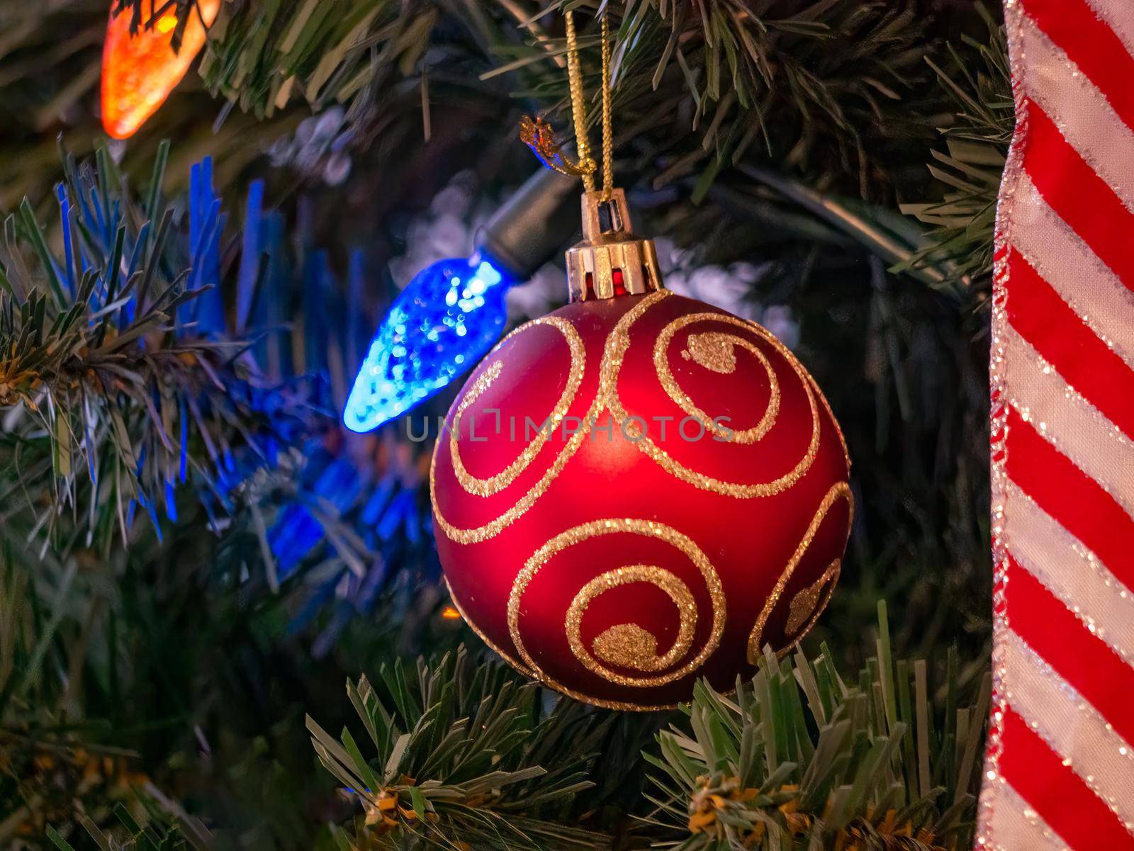Red bauble with golden ornament on pine tree brench. Closeup look of Christmas decorations