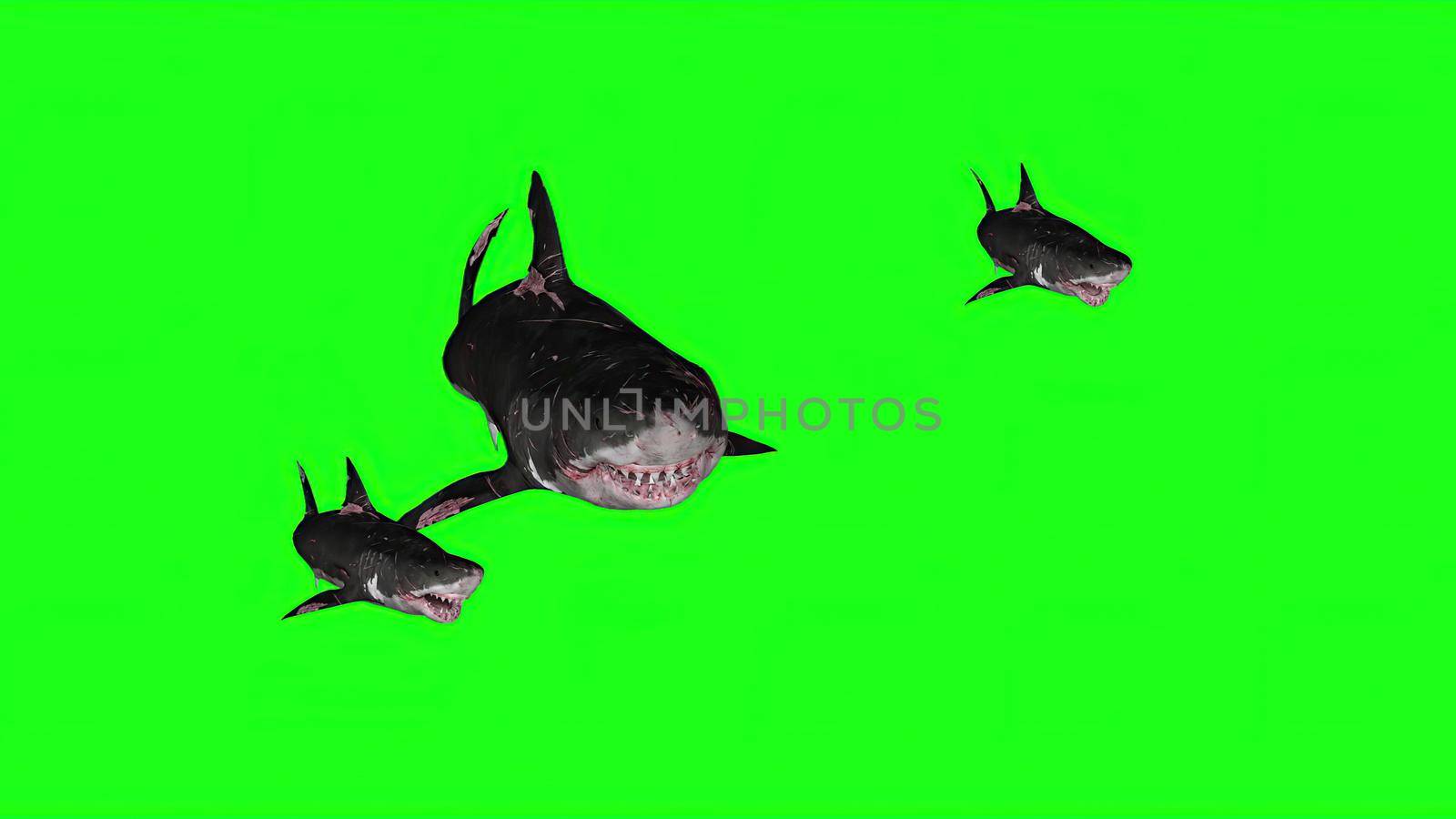 3d illustration - Sharks on a Green background by vitanovski