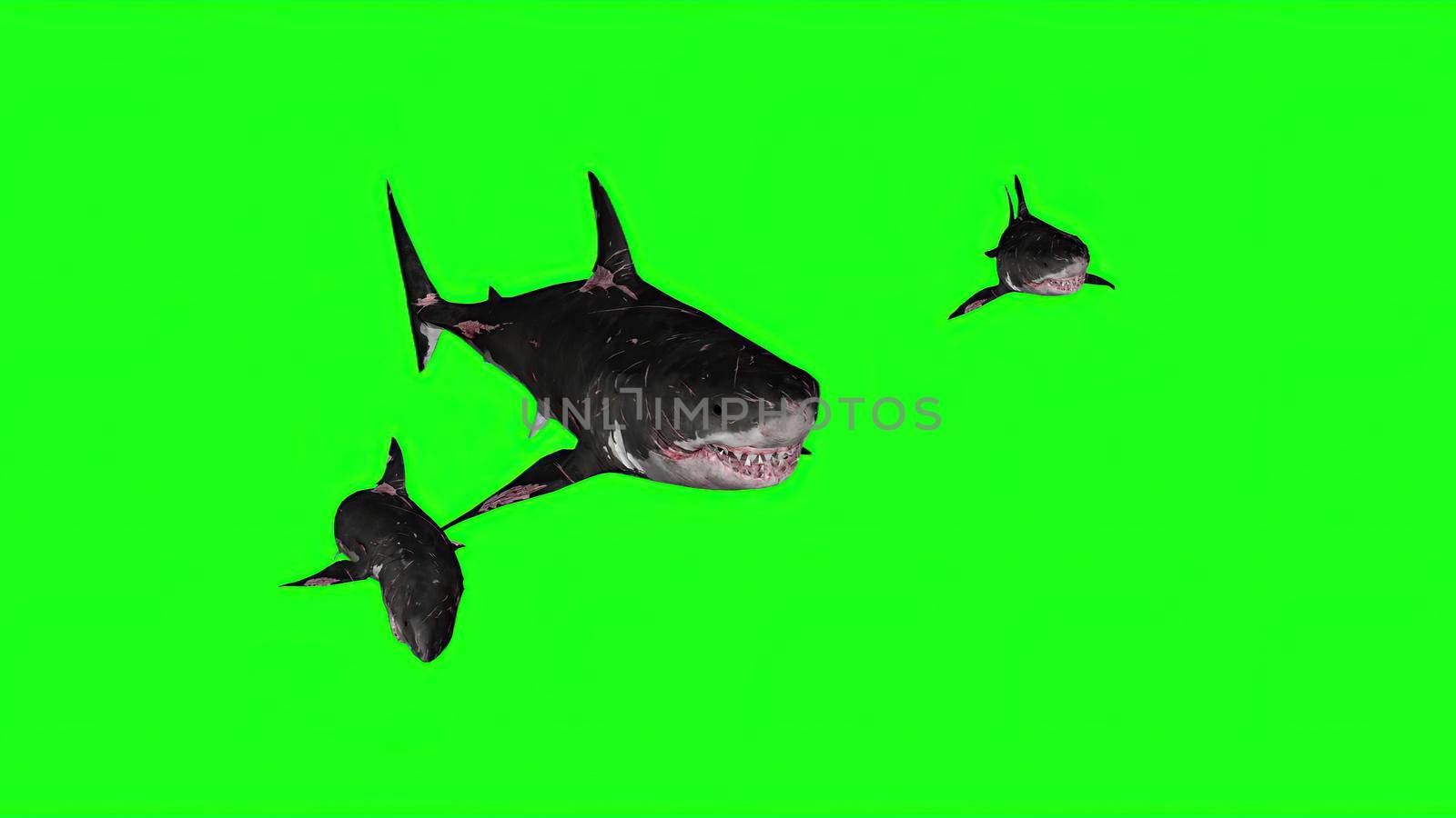 3d illustration - Sharks on a Green background