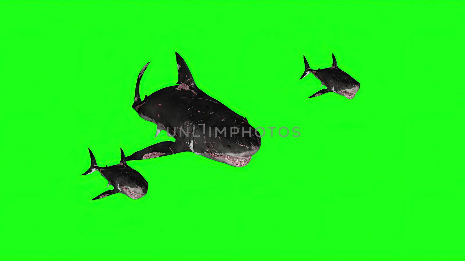 3d illustration - Sharks on a Green background by vitanovski