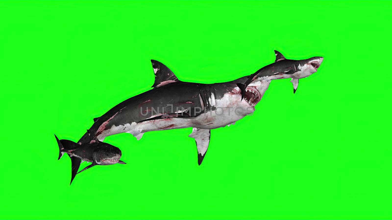 3d illustration - Sharks on a Green background