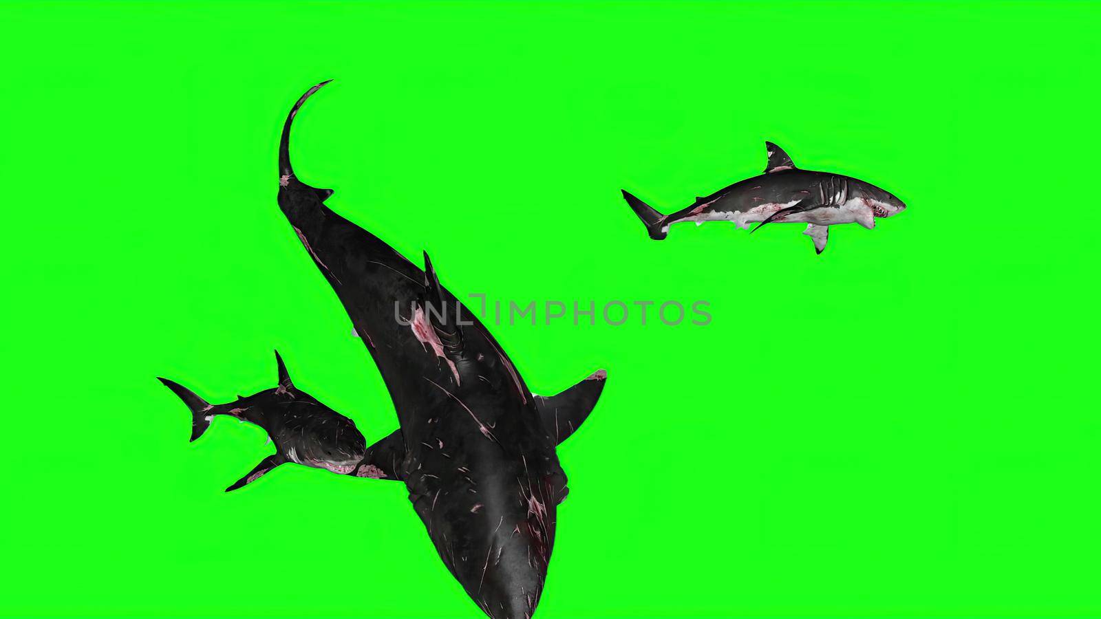 3d illustration - Sharks on a Green background by vitanovski